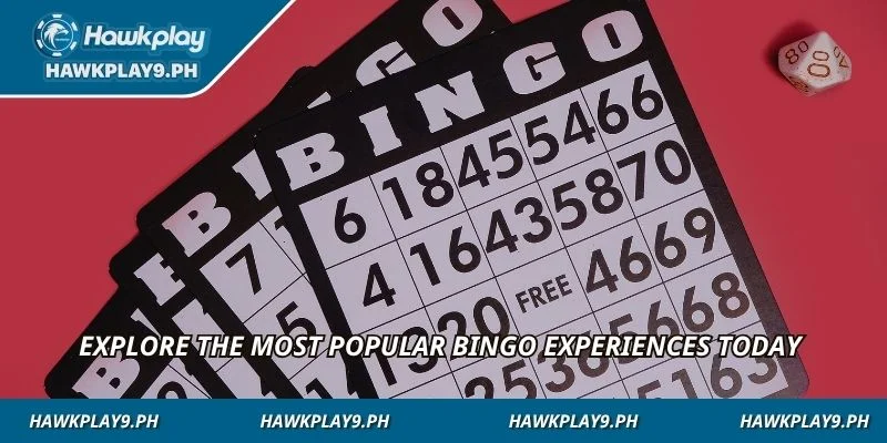 Explore the most popular bingo experiences today