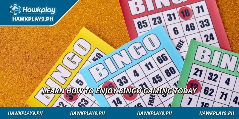 Learn how to enjoy bingo gaming today