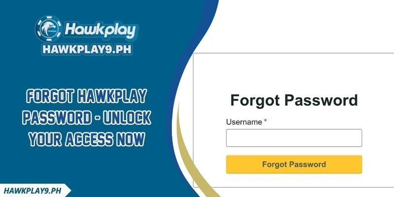 Forgot HAWKPLAY Password - Unlock Your Access Now