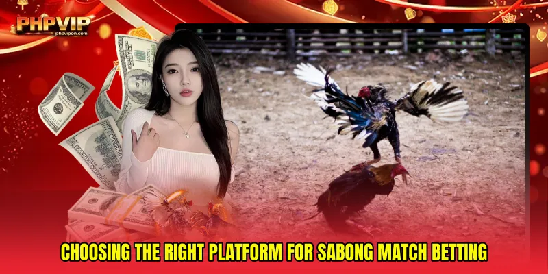 Choosing the right platform for Sabong match betting