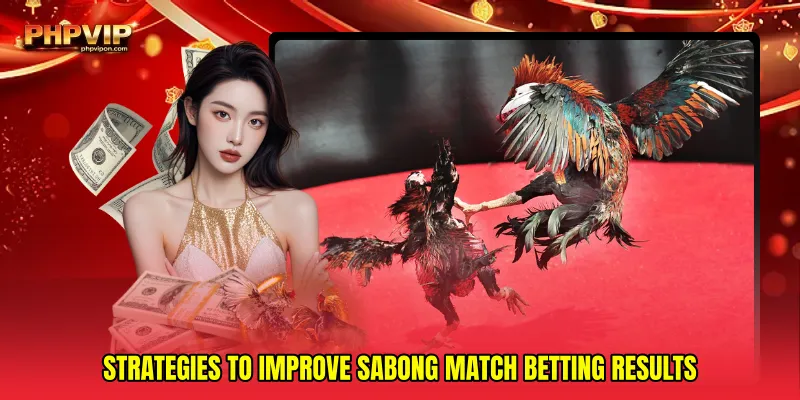 Strategies to improve Sabong match betting results