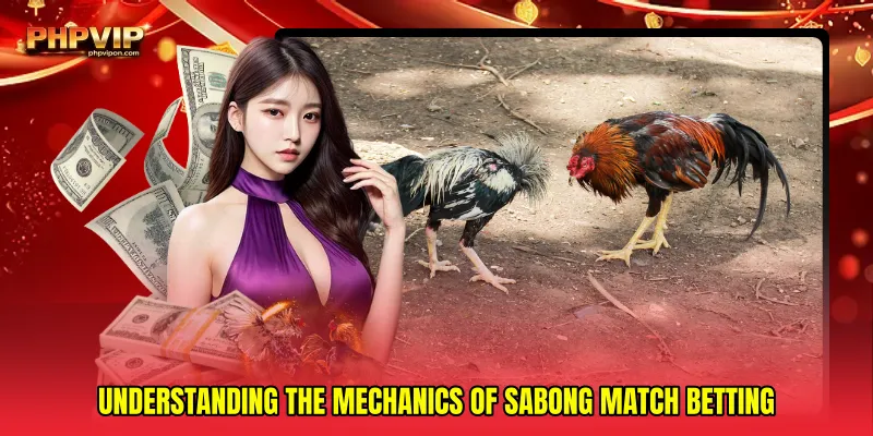 Understanding the mechanics of Sabong match betting